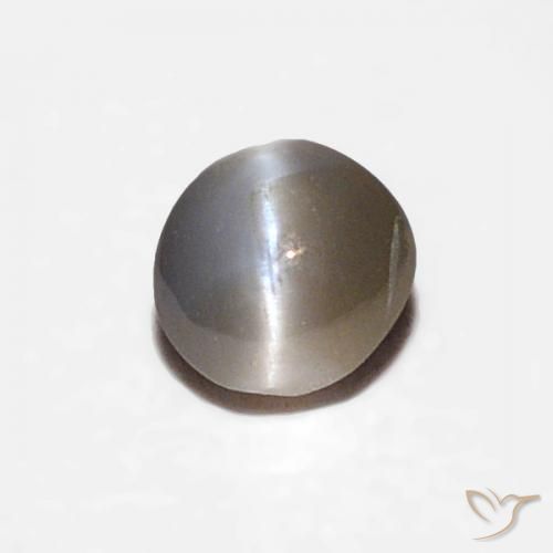 0.16ct Naturale Nero grigiastro Crisoberillo effetto occhio di gatto, Ovale, Opaco