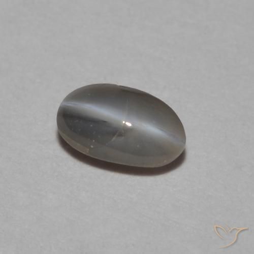 Crisoberillo effetto occhio di gatto Grigio argento naturale da 0.26 ct, Ovale, Opaco