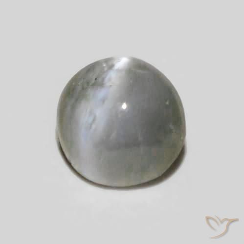 Crisoberillo effetto occhio di gatto Grigio molto chiaro naturale da 0.30 ct, Ovale, Opaco