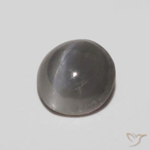 Crisoberillo effetto occhio di gatto Grigio argento naturale da 0.29 ct, Ovale, Opaco