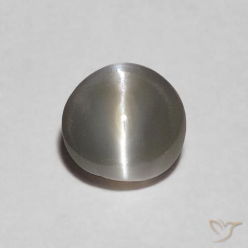 0.30ct Naturale Grigio molto chiaro Crisoberillo effetto occhio di gatto, Ovale, Opaco