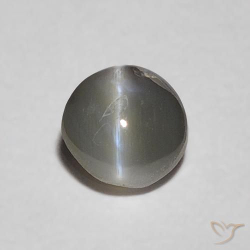 0.37ct Naturale Medium Dark-Gray Crisoberillo effetto occhio di gatto, Ovale, Opaco