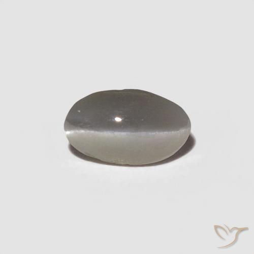 0.29ct Naturale Grigio molto chiaro Crisoberillo effetto occhio di gatto, Ovale, Opaco