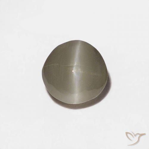 0.20ct Naturale Grigio molto chiaro Crisoberillo effetto occhio di gatto, Rotondo, Opaco