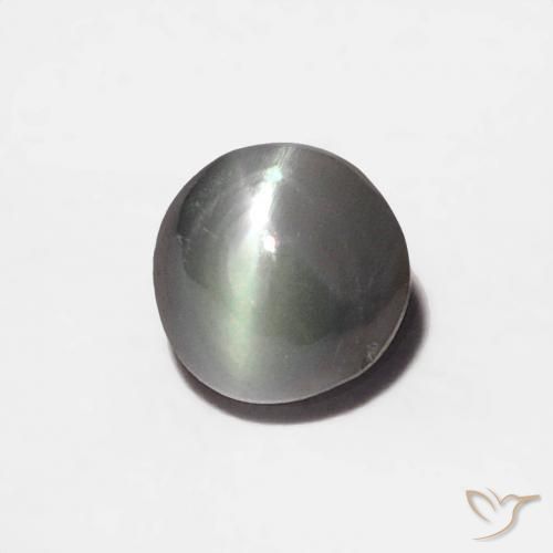 Crisoberillo effetto occhio di gatto Grigio chiaro naturale da 0.35 ct, Rotondo, Opaco