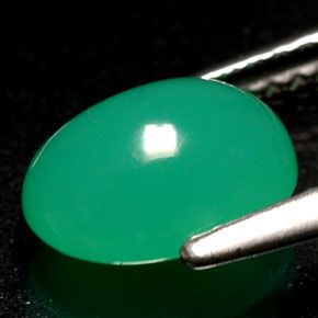 Crisoprasio naturale verde da 1,69 ct, trasparente, trasparente/traslucido