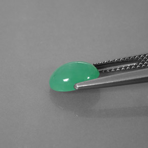 Crisoprasio naturale verde da 1,42 ct, trasparente, trasparente/traslucido