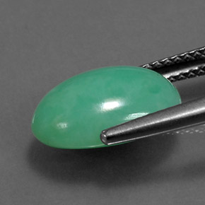 Crisoprasio naturale verde da 4,43 ct, taglio ovale, opaco