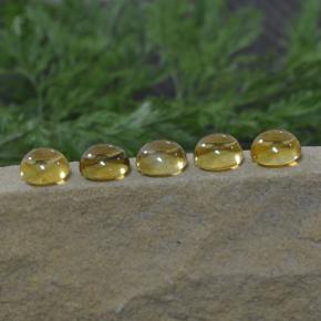 Citrino naturale giallo da 11,14 ct, taglio rotondo, trasparente