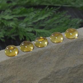 Citrino naturale giallo da 11,14 ct, taglio rotondo, trasparente