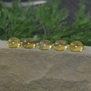 Citrino naturale giallo da 11,14 ct, taglio rotondo, trasparente