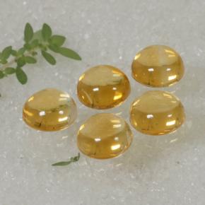 Citrino naturale giallo da 10,14 ct, taglio rotondo, trasparente