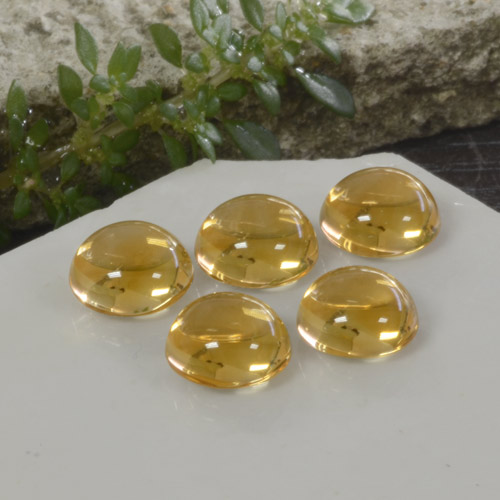 Citrino naturale dorato da 10,33 ct, taglio rotondo, trasparente