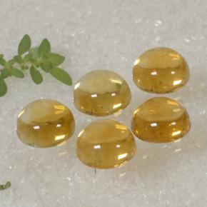 Citrino naturale dorato da 10,94 ct, taglio rotondo, trasparente