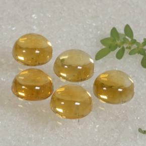 Citrino naturale dorato da 10,94 ct, taglio rotondo, trasparente