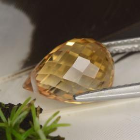 Citrino naturale dorato da 4,47 ct, briolette, VVS-VS