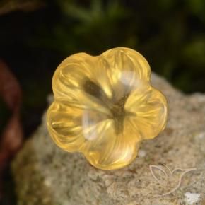 Citrino Medium Gold  naturale da 1.47 ct, Taglio a fiore, Trasparente
