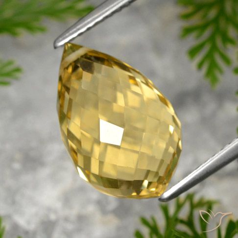 8.48ct Naturale Dorato medio Citrino, Taglio briolette, VVS