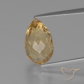 7.80ct Naturale Dorato chiaro Citrino, Taglio briolette, VVS