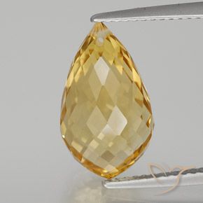 6.82ct Naturale Oro medio-chiaro Citrino, Taglio briolette, VVS