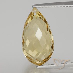 6.65ct Naturale Dorato Citrino, Taglio briolette, VVS