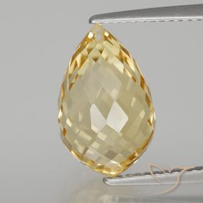 6.70ct Naturale Dorato chiaro Citrino, Taglio briolette, VVS