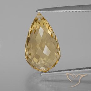 7.33ct Naturale Dorato Citrino, Taglio briolette, VVS