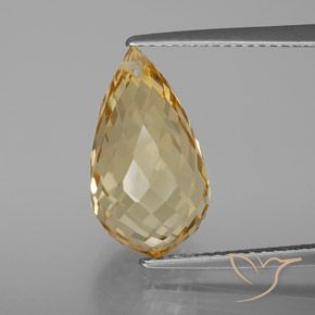 7.22ct Naturale Dorato Citrino, Taglio briolette, VVS