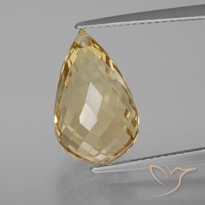 8.24ct Naturale Dorato chiaro Citrino, Taglio briolette, VVS-VS