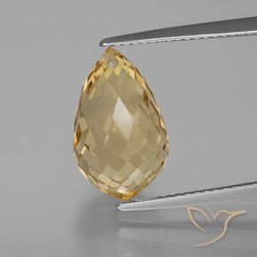 6.27ct Naturale Arancio dorato Citrino, Taglio briolette, VVS-VS