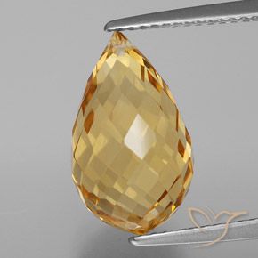 6.21ct Naturale Dorato Citrino, Taglio briolette, VVS