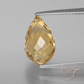 5.05ct Naturale Dorato Citrino, Taglio briolette, VVS-VS