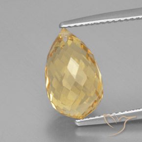 5.49ct Naturale Oro brillante Citrino, Taglio briolette, VVS