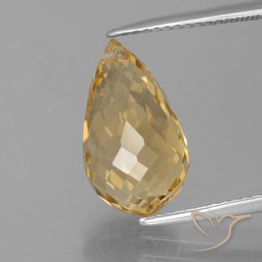 5.95ct Naturale Oro medio Citrino, Taglio briolette, VVS