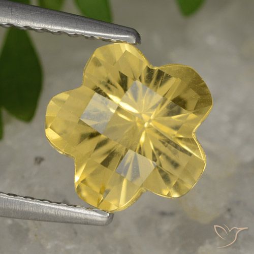 1.63ct Naturale Giallo medio Citrino, Taglio a fiore, Trasparente