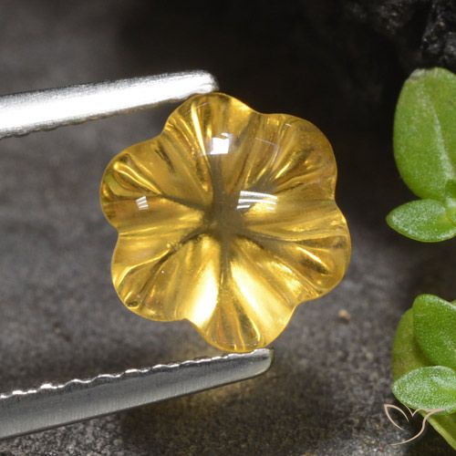 1.66ct Naturale Dorato medio Citrino, Taglio a fiore, Trasparente