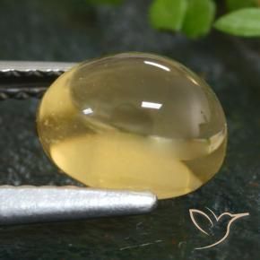 Citrino naturale giallo da 1,66 ct, taglio ovale, trasparente