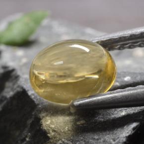 Citrino naturale giallo da 1,02 ct, taglio ovale, trasparente