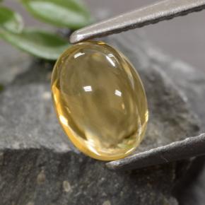 Citrino naturale dorato da 1,07 ct, taglio ovale, trasparente