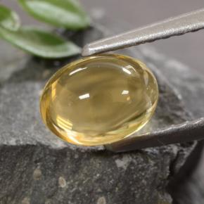 Citrino naturale dorato da 1,07 ct, taglio ovale, trasparente
