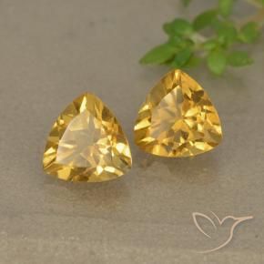 Gemme di Citrino Dorato scuro naturale da 1.46 ct, Taglio trillion, VVS-VS