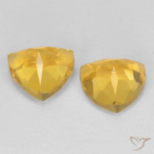 Gemme di Citrino Oro brillante naturale da 1.50 ct, Taglio trillion, VVS-VS