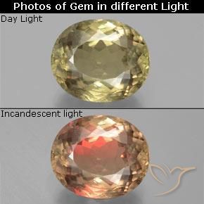 10.84ct Naturale Giallo medio Diaspro cangiante, Ovale, VS-SI
