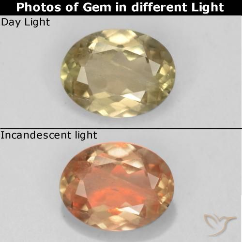 0.65ct Naturale Giallo dorato chiaro Diaspro cangiante, Ovale, VS