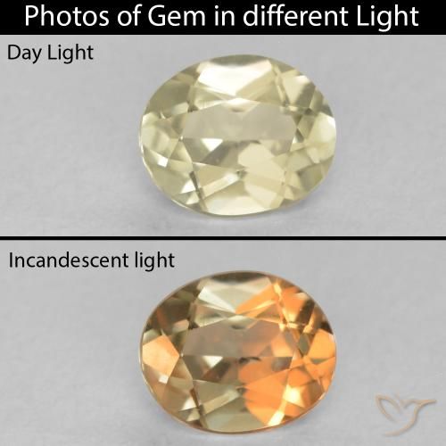 0.43ct Naturale Giallo chiaro Diaspro cangiante, Ovale, VVS