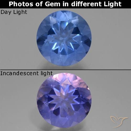 11.61ct Naturale Blu scuro Fluorite che cambia colore, Rotondo, VVS-VS