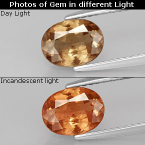 Granato cangiante Marrone dorato ad arancione naturale da 1.37 ct, Taglio ovale, VS