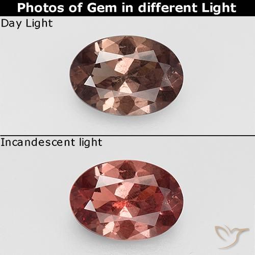0.74ct Naturale Hickory Brown Granato cangiante, Ovale, VS