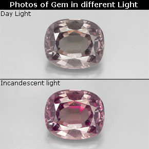 Granato cangiante Marrone dorato a rosa naturale da 1.50 ct, Taglio a cuscino, VS