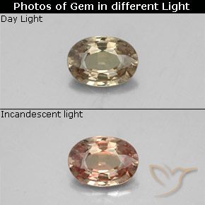 0.52ct Naturale Marrone dorato Granato cangiante, Ovale, VS-SI